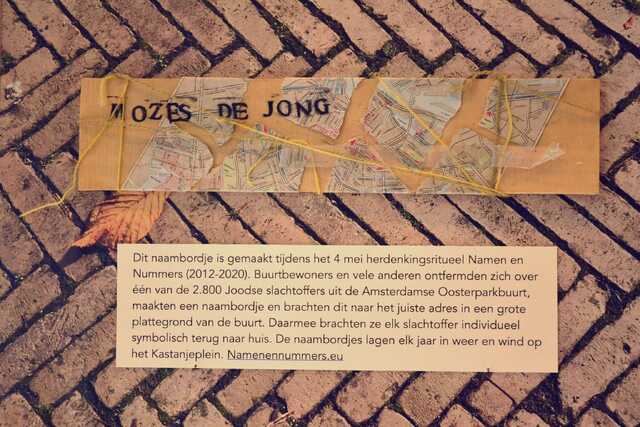 Jong_Mozes_de_V_42_II.JPG