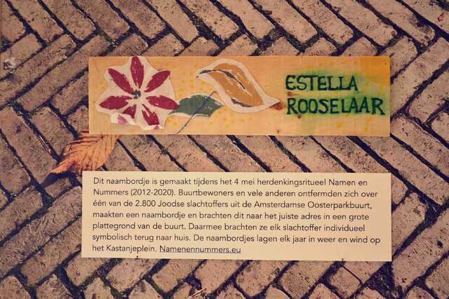 Rooselaar_Estella__V_40_I.JPG