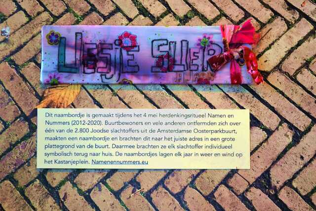 Slier_Liesje__V_295_III.JPG