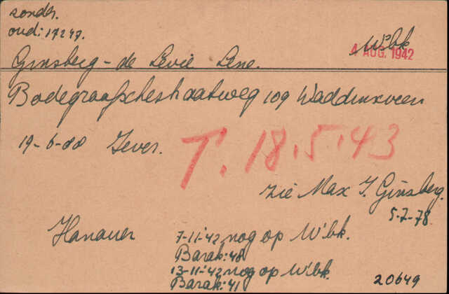 Ginsberg-De Levie. Arolson.jpg