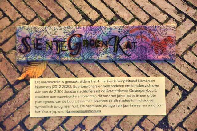 Groen_Kat_Sientje__Ops1_61_III.JPG