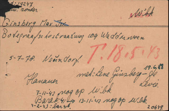Max Ginsberg.Arolson.2.jpg