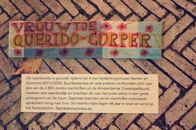 Querido_Corper_Vrouwtje__V_50_huis.JPG