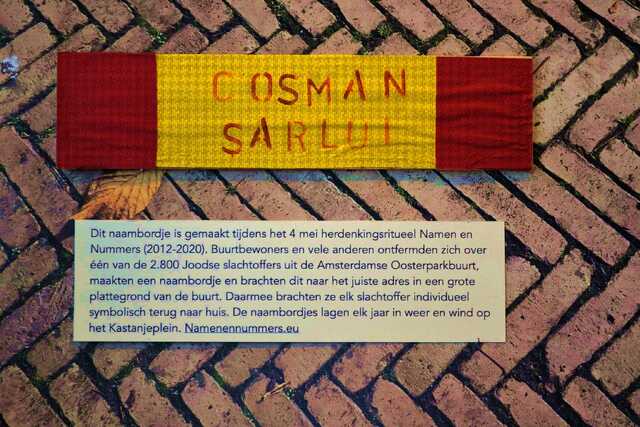 Sarlui_Cosman__V_295_II.JPG