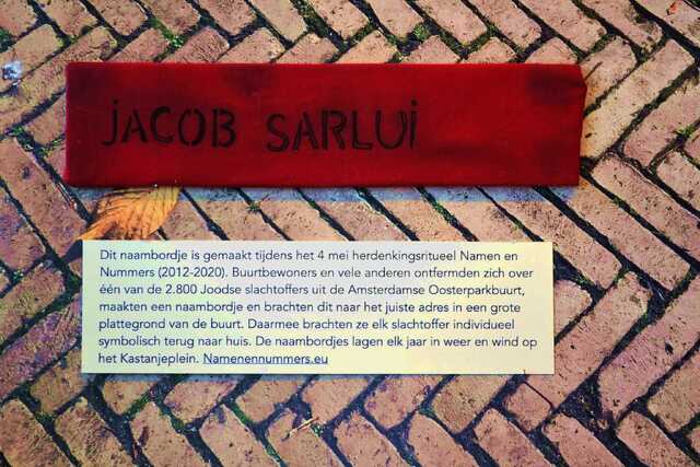 Sarlui_Jacob__V_295_II.JPG