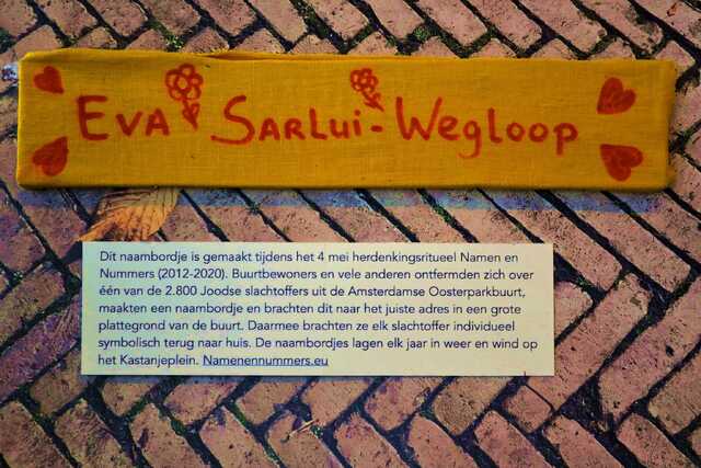 Sarlui_Wegloop_Eva__V_295_II.JPG