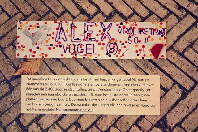 Vogel_Alex__V_50_II.JPG