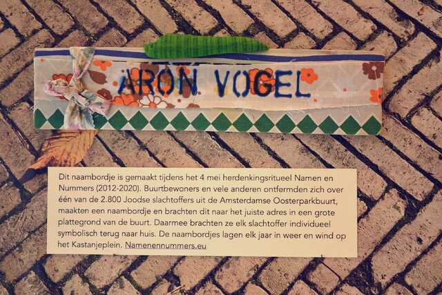 Vogel_Aron__V_50_II.JPG