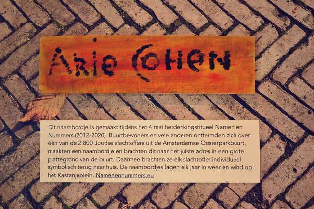 Cohen_Arie__V_56_I.JPG