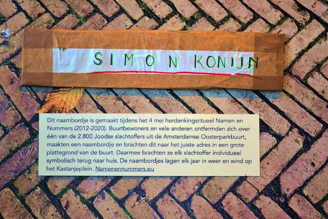 Konijn_Simon__V_297_II.JPG