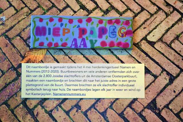 Papegaay_Miep__V_301_III#1.JPG