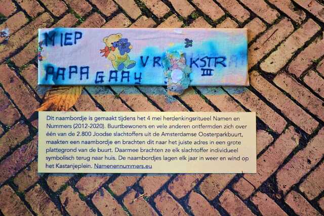 Papegaay_Miep__V_301_III#2.JPG