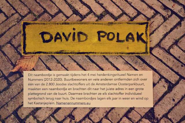 Polak_David__V_56_I.JPG