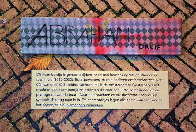 Druif_Abraham__V_139_I.JPG