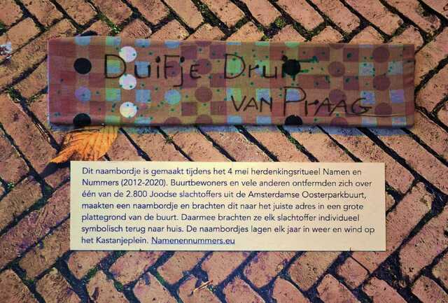 Druif_van Praag_Duifje__V_139_I.JPG