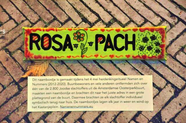 Pach_Rosa__Iw_25_III.JPG