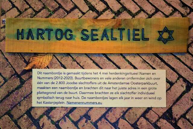Sealtiel_Hartog__V_105_II.JPG