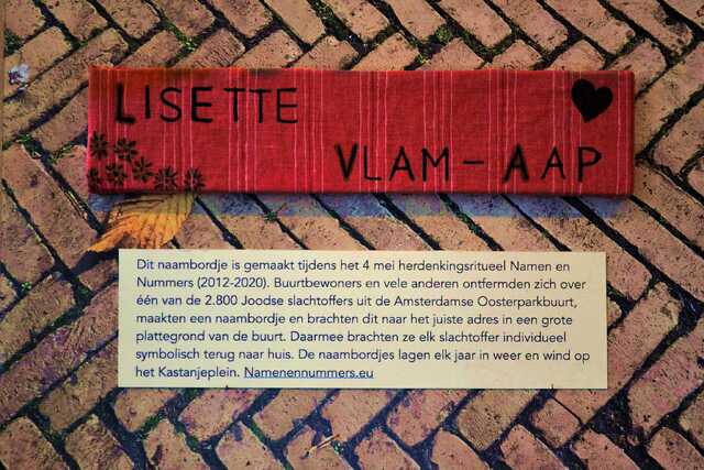 Vlam_Aap_Lisette__V_117_II_a.JPG