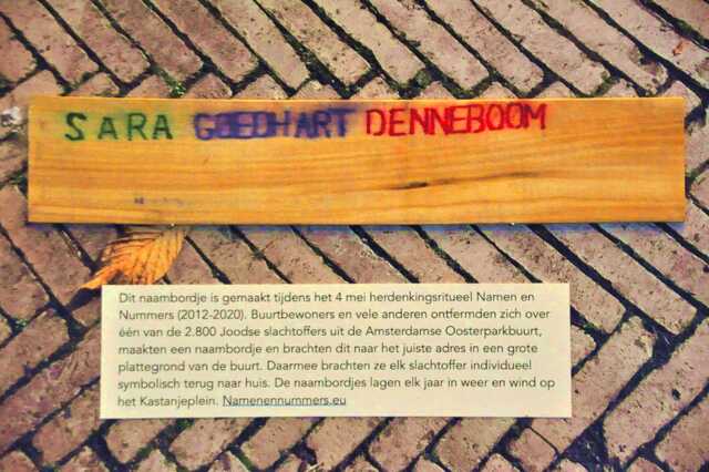 Goedhart_Denneboom_Sara__Bw_11_#2.JPG