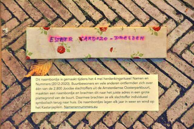 Cardozo_Dresden_Esther__Iw_21_II.JPG