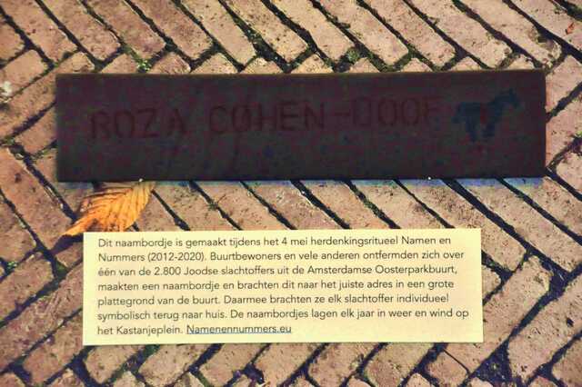 Cohen_Doof_Roza__Iw_15_II.JPG