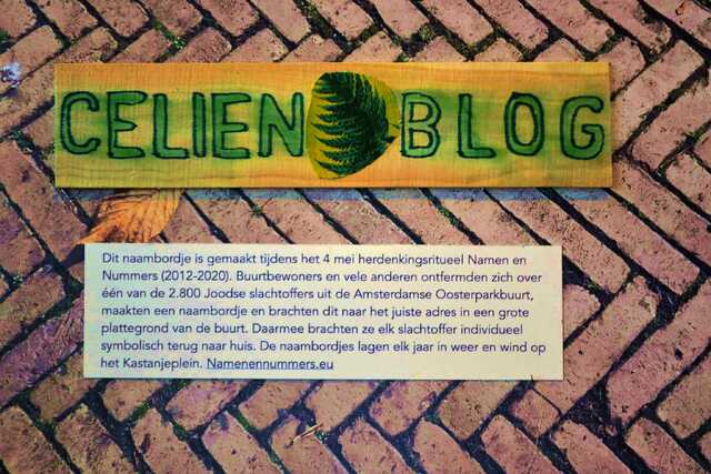 Blog_Celien__V_357_III.JPG