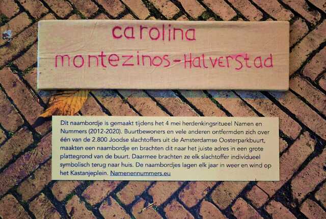 Montezinos_Halverstad_Carolina__V_161_I.JPG