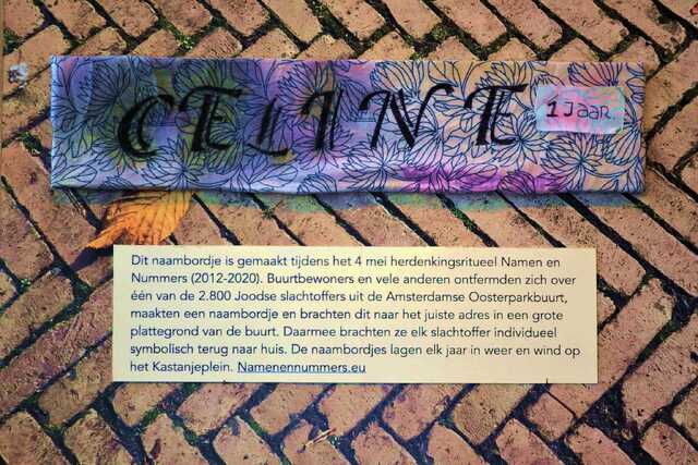 Sluis_Celine_van der_V_163_II.JPG