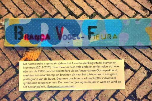 Vogel_Fieijra_Branca__Ops1_3_II.JPG