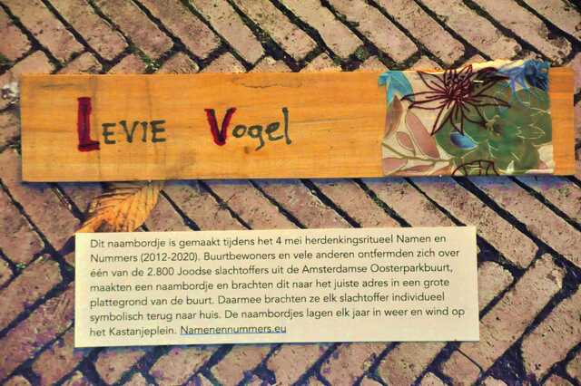 Vogel_Levie__Ops1_3_II.JPG
