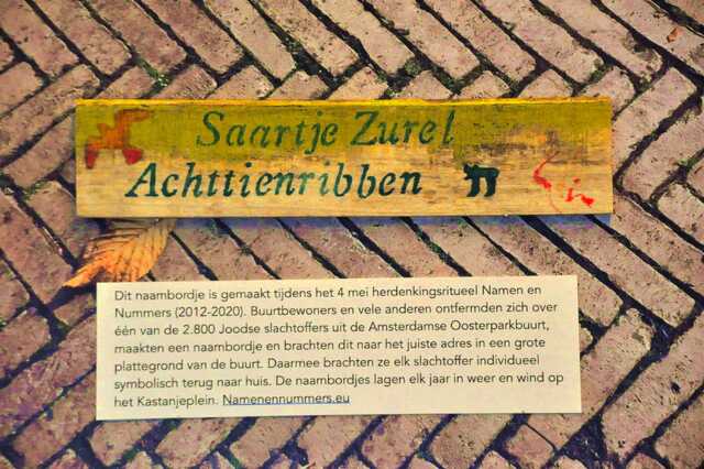 Zurel_Achttienribben_Saartje__Ops1_151_II.JPG