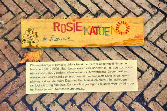 Katoen_de Leeuwe_Rosie__Ops1_184_I.JPG