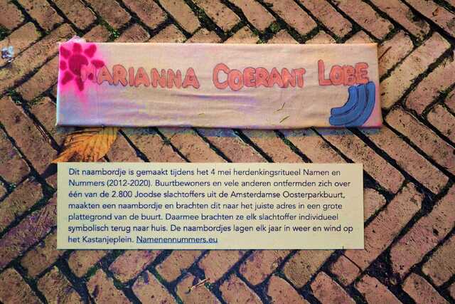 Coerant_Lobe_Marianna_V_231_huis.JPG
