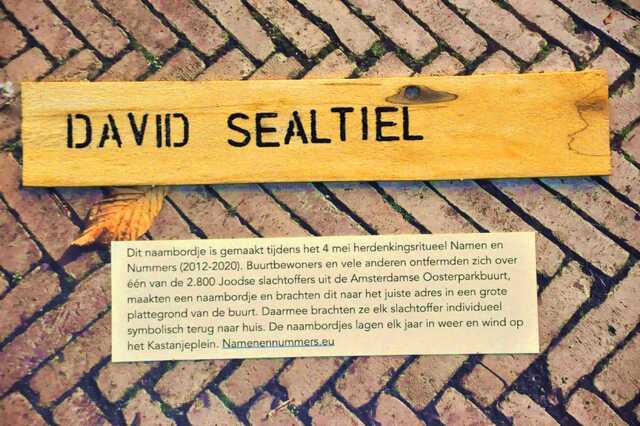 Sealtiel_David__Ops1_168_I.JPG