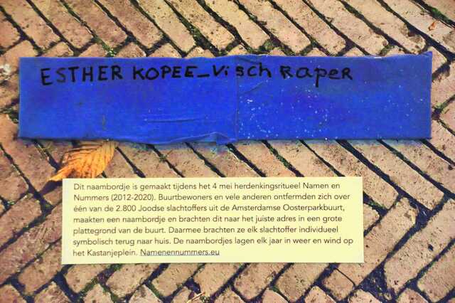 Kopee_Vischschraper_Esther__Bp_28_II.JPG