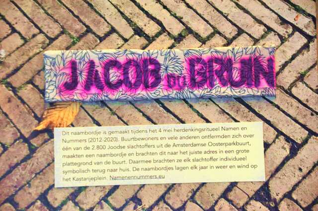 Bruin_Jacob_du_Ops3_91_I.JPG