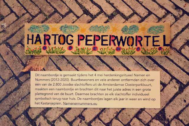 Peperwortel_Hartog__V_66_huis.JPG