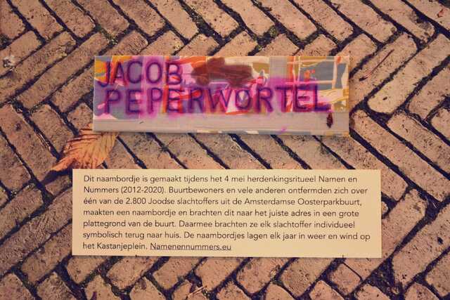 Peperwortel_Jacob__V_66_huis.JPG