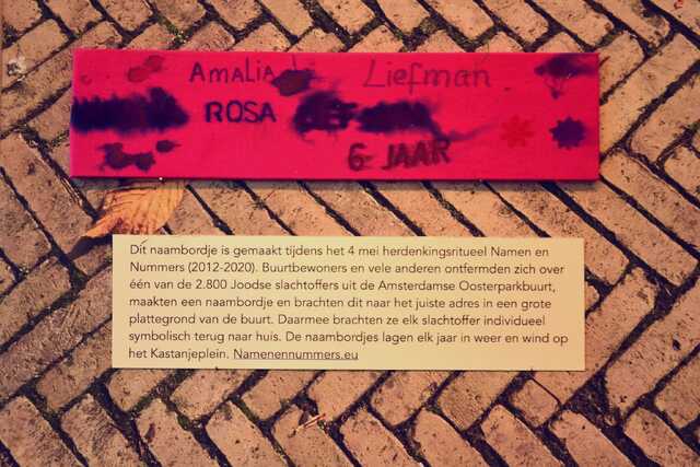 Liefman_Amalia Rosa__V_160_I.JPG