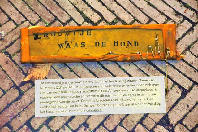 Waas_de Hond_Vrouwtje__Ops3_103_I.JPG