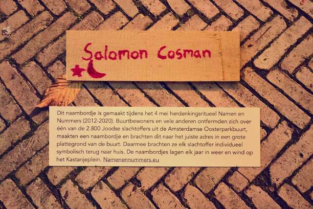 Cosman_Salomon__V_168_II.JPG