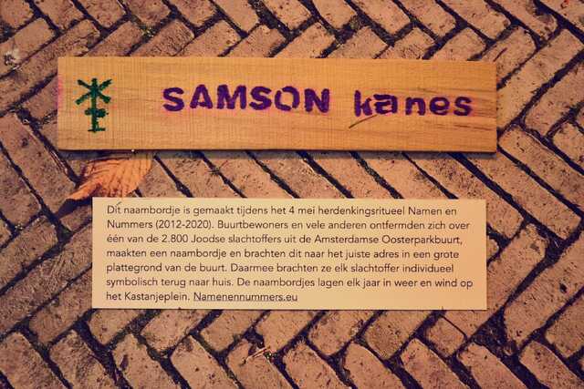 Kanes_Samson__V_162_III.JPG