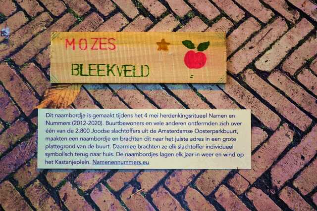 Bleekveld_Mozes__V_321_I.JPG