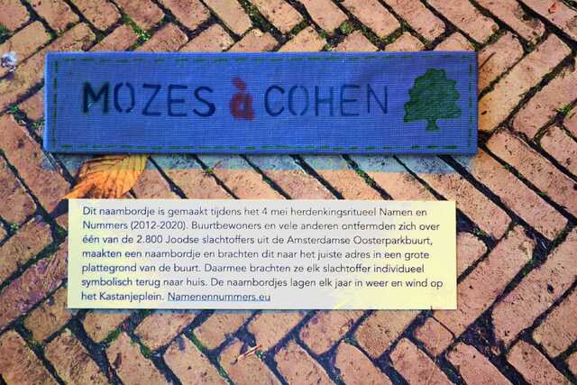 Cohen_Mozes__V_329_II.JPG