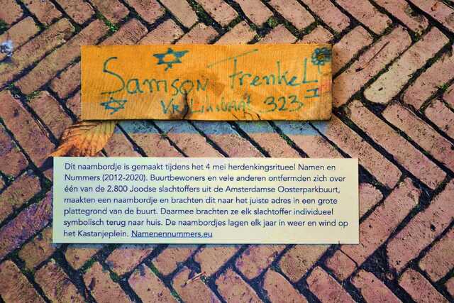 Frenkel_Samson__V_323_I.JPG