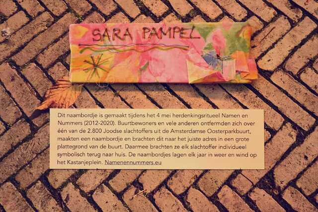 Pampel_Sara__V_206_I.JPG