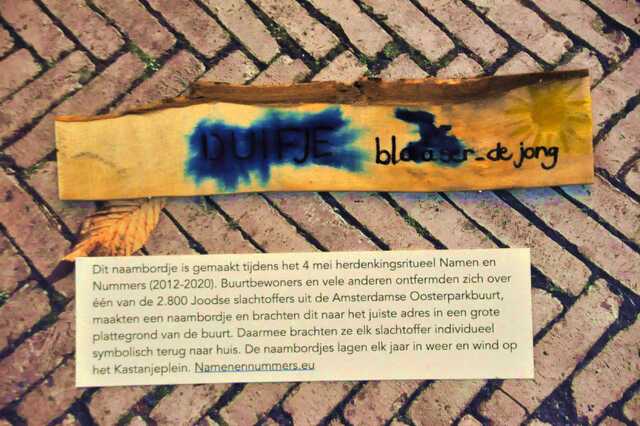 Blaaser_de Jong_Duifje__Sw_18_II.JPG
