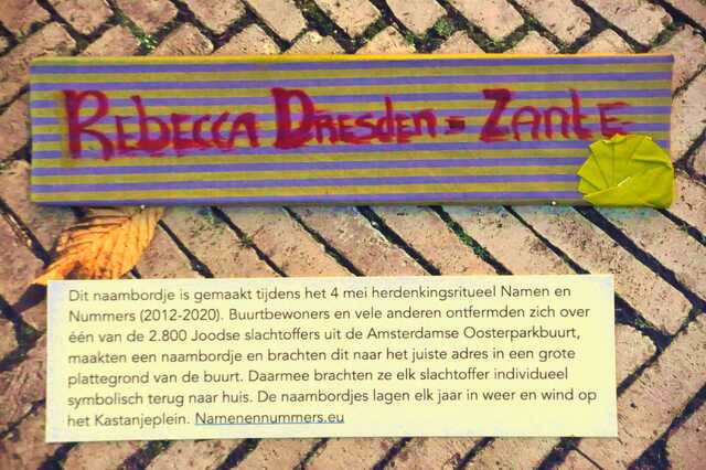 Dresden_Zante_Rebecca__Sw_9_II.JPG
