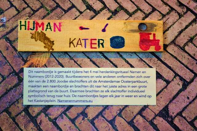 Kater_Hijman__V_311_I.JPG