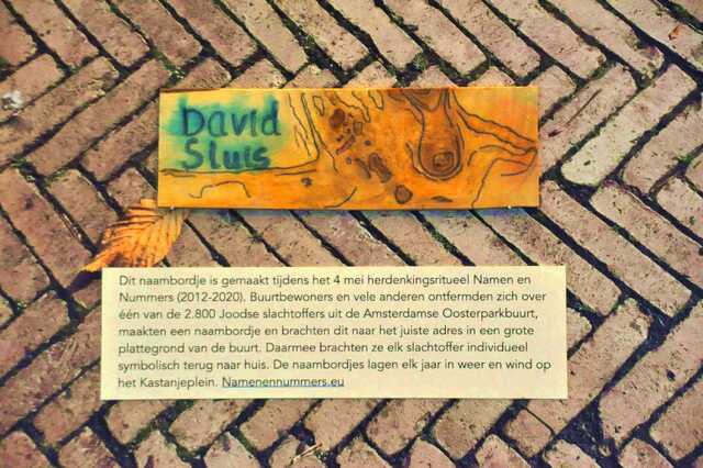 Sluis_David__Bp_22_II.JPG